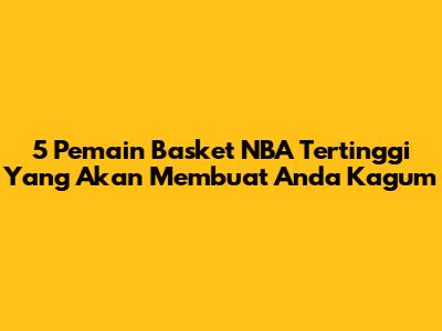5 Pemain Basket NBA Tertinggi Yang Akan Membuat Anda Kagum