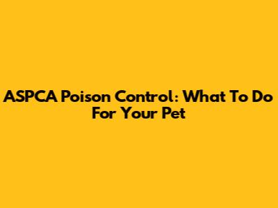 ASPCA Poison Control: What To Do For Your Pet