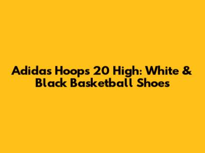 Adidas Hoops 20 High: White & Black Basketball Shoes