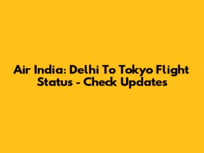 Air India: Delhi To Tokyo Flight Status - Check Updates