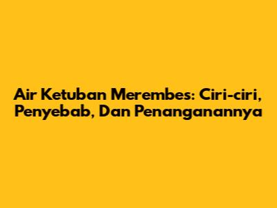 Air Ketuban Merembes: Ciri-ciri, Penyebab, Dan Penanganannya