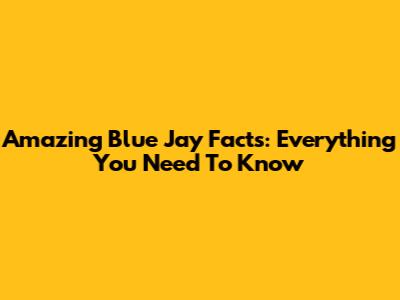 Amazing Blue Jay Facts: Everything You Need To Know