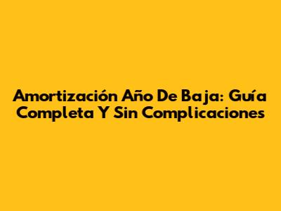 Amortización Año De Baja: Guía Completa Y Sin Complicaciones