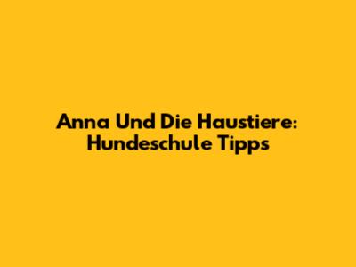 Anna Und Die Haustiere: Hundeschule Tipps