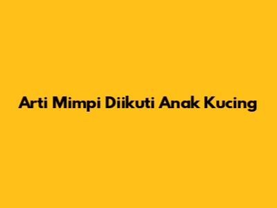 Arti Mimpi Diikuti Anak Kucing