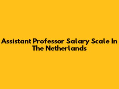 Assistant Professor Salary Scale In The Netherlands