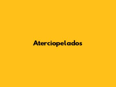Aterciopelados' 