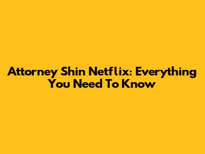 Attorney Shin Netflix: Everything You Need To Know