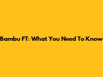Bambu FT: What You Need To Know