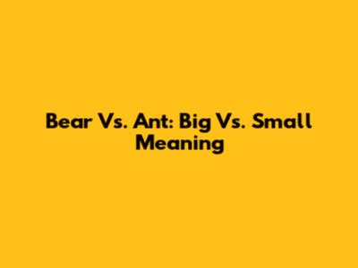 Bear Vs. Ant: Big Vs. Small Meaning