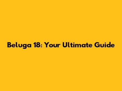 Beluga 18: Your Ultimate Guide