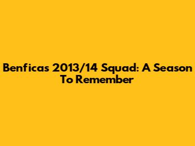 Benfica's 2013/14 Squad: A Season To Remember