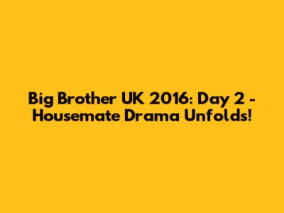 Big Brother UK 2016: Day 2 - Housemate Drama Unfolds!