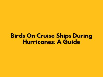 Birds On Cruise Ships During Hurricanes: A Guide