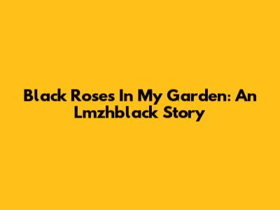 Black Roses In My Garden: An Lmzhblack Story
