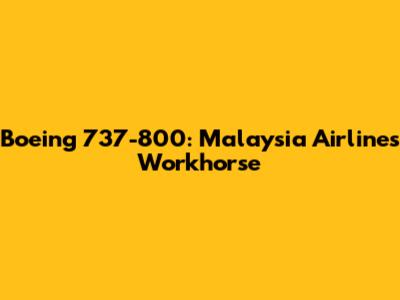 Boeing 737-800: Malaysia Airlines' Workhorse