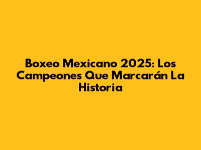 Boxeo Mexicano 2025: Los Campeones Que Marcarán La Historia