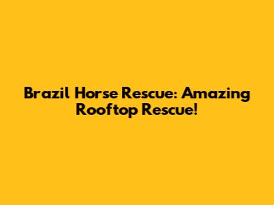 Brazil Horse Rescue: Amazing Rooftop Rescue!