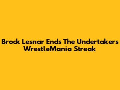 Brock Lesnar Ends The Undertaker's WrestleMania Streak