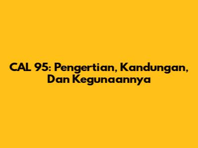 CAL 95: Pengertian, Kandungan, Dan Kegunaannya