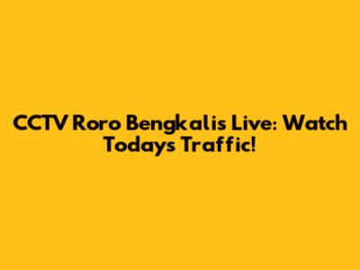 CCTV Roro Bengkalis Live: Watch Today's Traffic!
