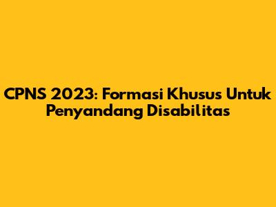 CPNS 2023: Formasi Khusus Untuk Penyandang Disabilitas