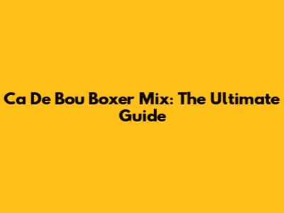 Ca De Bou Boxer Mix: The Ultimate Guide