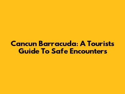 Cancun Barracuda: A Tourist's Guide To Safe Encounters