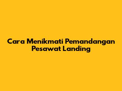 Cara Menikmati Pemandangan Pesawat Landing