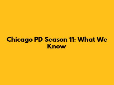 Chicago PD Season 11: What We Know
