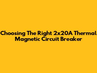 Choosing The Right 2x20A Thermal Magnetic Circuit Breaker