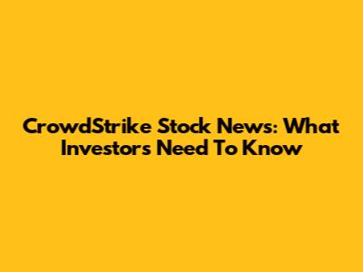 CrowdStrike Stock News: What Investors Need To Know