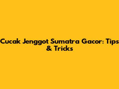 Cucak Jenggot Sumatra Gacor: Tips & Tricks