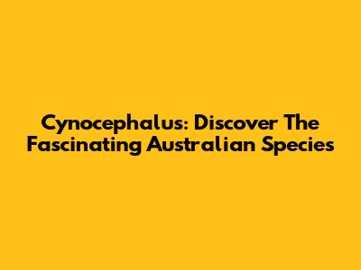 Cynocephalus: Discover The Fascinating Australian Species