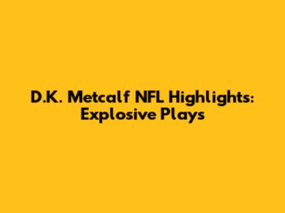 D.K. Metcalf NFL Highlights: Explosive Plays
