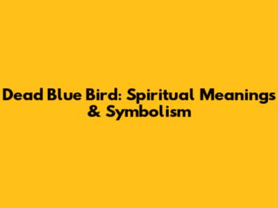 Dead Blue Bird: Spiritual Meanings & Symbolism