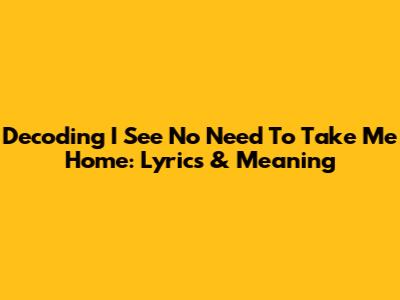 Decoding 'I See No Need To Take Me Home': Lyrics & Meaning