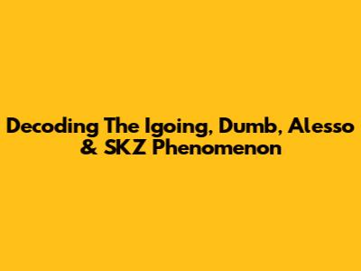Decoding The Igoing, Dumb, Alesso & SKZ Phenomenon