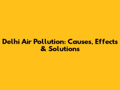 Delhi Air Pollution: Causes, Effects & Solutions