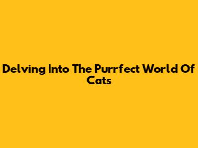 Delving Into The Purrfect World Of Cats