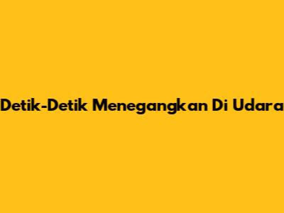 Detik-Detik Menegangkan Di Udara