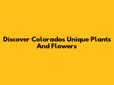 Discover Colorado's Unique Plants And Flowers