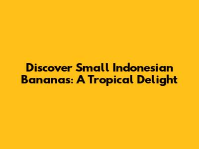 Discover Small Indonesian Bananas: A Tropical Delight