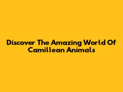 Discover The Amazing World Of Camillean Animals