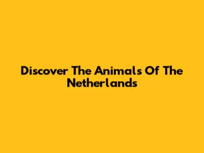 Discover The Animals Of The Netherlands