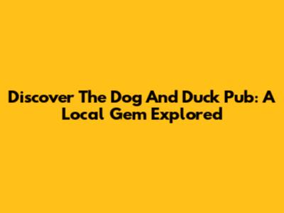 Discover The Dog And Duck Pub: A Local Gem Explored