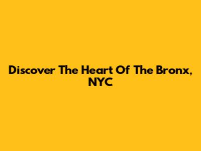 Discover The Heart Of The Bronx, NYC