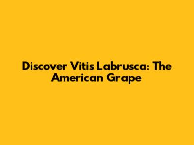 Discover Vitis Labrusca: The American Grape