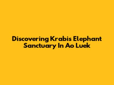 Discovering Krabi's Elephant Sanctuary In Ao Luek
