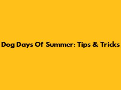 Dog Days Of Summer: Tips & Tricks
